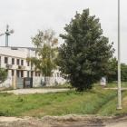 zdjęcie nr 25
