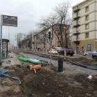 zdjęcie nr 18