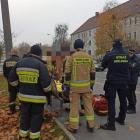   Autor: fot. Straż Miejska Wrocławia