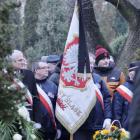 zdjęcie nr 40