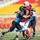 zdjęcie nr 7