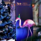   Autor: ZOO Wrocław