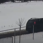 fot. Policja Lwówek Śląski 