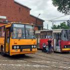 zdjęcie nr 7