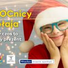 Fotka nr 5 z 6