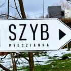 zdjęcie nr 20