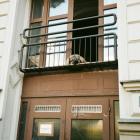 zdjęcie nr 8