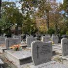 zdjęcie nr 16