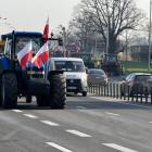 zdjęcie nr 10