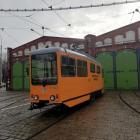 Fotka nr 3 z 8
