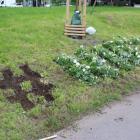 zdjęcie nr 12
