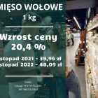 zdjęcie nr 10