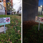   Autor: Nadesłane przez Czytelniczkę