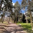 Park Grabiszyński położony jest na osiedlu Grabiszyn-Grabiszynek. Powstał na terenie...