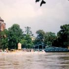 zdjęcie nr 43