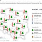 Prognoza pogody Wrocław: święta, Nowy Rok  Autor: pixabay.com