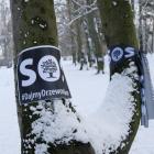SOS Dajmy Drzewom Prawo  Autor: Hub Aktywistyczny