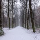 zdjęcie nr 35