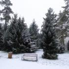 zdjęcie nr 34