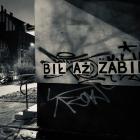 zdjęcie nr 12