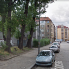 Chcieli usunięcia jemioły, mogą stracić drzewa. Cztery duże topole zagrożone wycięciem...