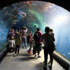 Do Zoo Wrocław oraz do Afrykarium można się wybrać zarówno w wielkanocną niedzielę jak...
