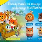zdjęcie nr 8