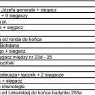 zdjęcie nr 43