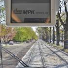 Tramwaje wrócą na Biskupin  Autor: MPK Wrocław