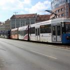 Fotka nr 5 z 7
