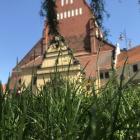 Koszenie trwa we Wrocławiu i aglomeracji wrocławskiej  Autor: Młody Dolny Śląsk