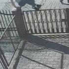 fot. Policja Legnica