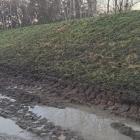 Tak wyglądają wały nad Odrą w powiecie oławskim | fot. Wody Polskie