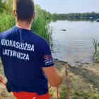 zdjęcie nr 11