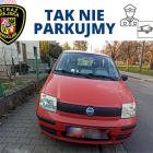zdjęcie nr 33