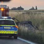 fot. Sylwester 