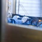  Operatorzy maszyn i urządzeń wydobywczych i przetw&oacute;rczych &ndash; 8438,33 zł...