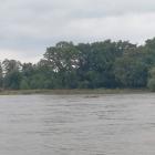 zdjęcie nr 10