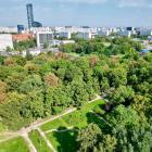 zdjęcie nr 9