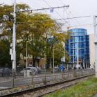 Fotka nr 1 z 13