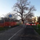   Autor: UM Wrocław