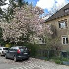 zdjęcie nr 8