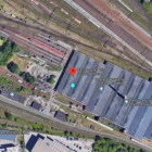 Wrocław: Ruszyła machina przetargowa. Do wycięcia jednego drzewa  Autor: Google