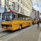 zdjęcie nr 7