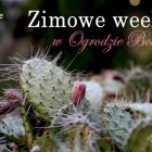 Zimowe weekendy w Ogrodzie Botanicznym
 
Od 13 stycznia 2024 roku w Ogrodzie...
