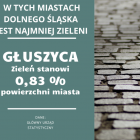 zdjęcie nr 18