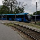 zdjęcie nr 7