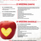   Autor: mat. organizaotra