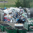 Wrocław: Areszt za śmieci z ul. Szczecińskiej. Nie do wiary, co z nimi robili!  Autor:...