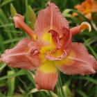 zdjęcie nr 7